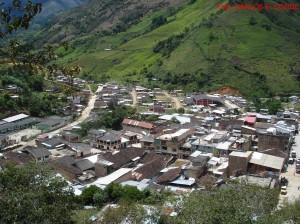 argelia cauca