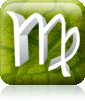 virgo_2