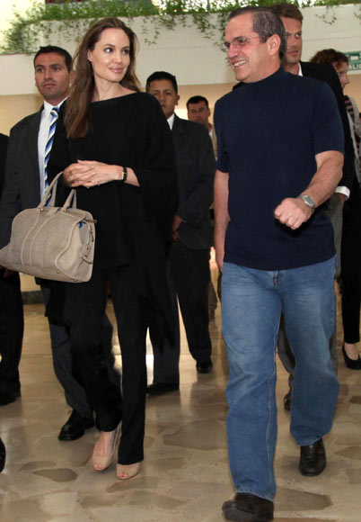 angelina-jolie2-a angelina jolie2 a