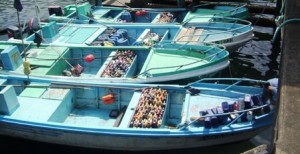 lanchas ecuatorianas