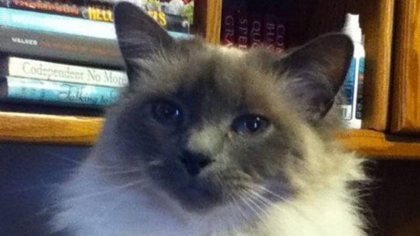 Lady-familia-Conway-Conlon-sacrificada-error_CLAIMA20120925_0196_14