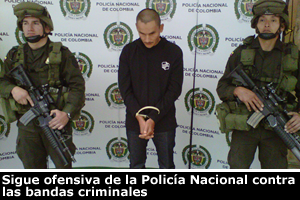 alias puma capturado