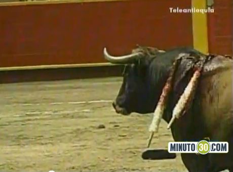 Concejo estudiará proyecto para terminar las corridas de toro con crueldad