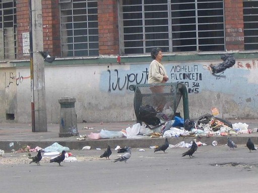 basuras (Copiar) (2)