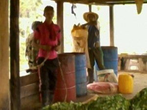 DESTRUCCIÓN LABORATORIO (6)