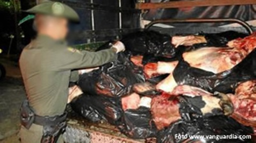 carne de chiguiro