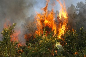 incendio-forestal_1279
