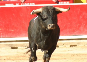 La quinta de abono será para toros de la Ganadería de Ernesto Gutiérrez