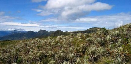 200608_paramo_pisba_545 (Copiar)