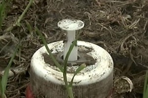 f0aa4267d3c919087abb82306cc75765