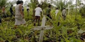 Nueva imagen (4) (Copiar)