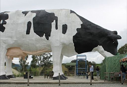 La Ruta de la Leche, ganadora del concurso 'Territorio mejor anfitrión del turismo' 1 La ruta de la Leche, ganadora del concurso de la Gobernación de Antioquia Territorio mejor anfitrión del turismo