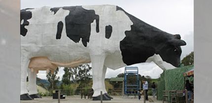 ruta de la leche h