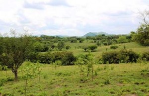 tierras baldías (Copiar)