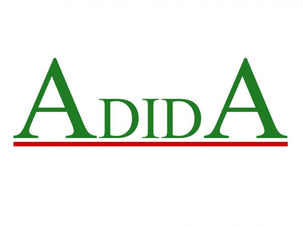 adida_595