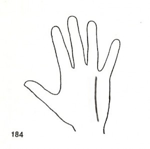 linea de la intuicion