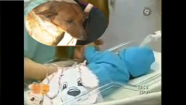 Pupi le dio 'esperanza' a la bebé de un mes abandonada por su madre en una fría noche argentina