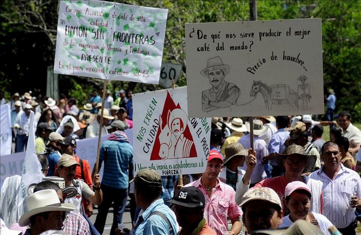 Los pequeños caficultores colombianos protagonizaron el pasado mes de marzo una huelga de doce días en demanda de ayudas por su precaria situación, lo que se saldó con el plan de "Protección al Ingreso de los Caficultores" (PIC) para compensar a los productores por las cargas con bajos precios. EFE/Archivo