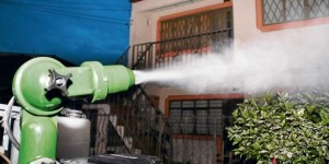 fumiga (Copiar) (Copiar)