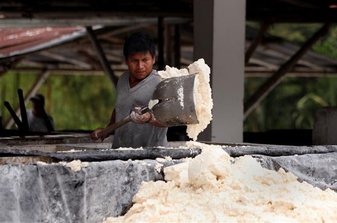 Procesamiento del almidón.Colombia Inn