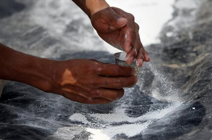 Se han identificado hasta seis grupos de bacterias capaces de eliminar el cianuro de los ríos. Colombia Inn