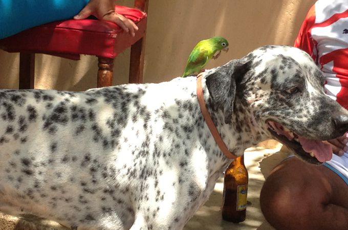 Imagen tomada de meanwhileincolombia.tumblr.com