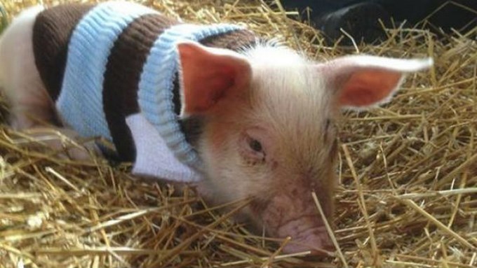 Imagen tomada de archivo para ilustrar la nota