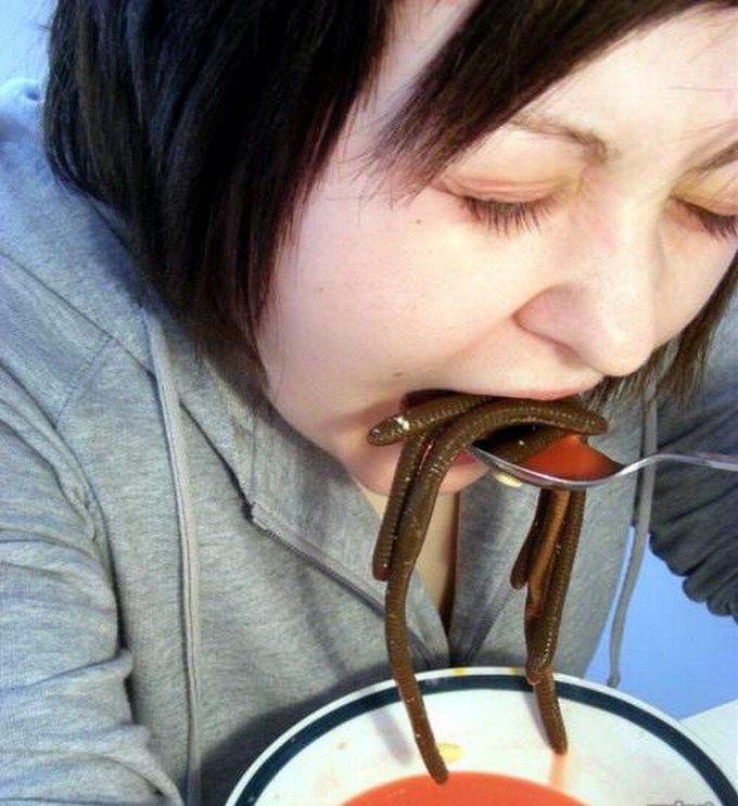 Ranking de Curiosidades que debes saber antes de morir. Parte 2