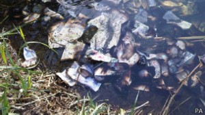 billetes en las aguas del rio Támesis