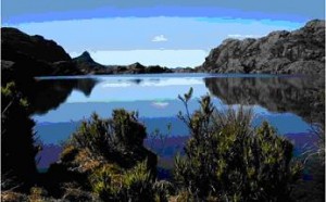 Autoridades ambientales piden a Colombia la delimitación total del Páramo de Santurbán.