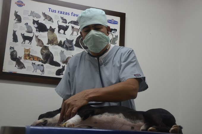 Foto: Guillermo Naranjo