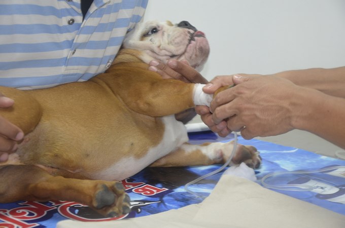 Foto: Guillermo Naranjo