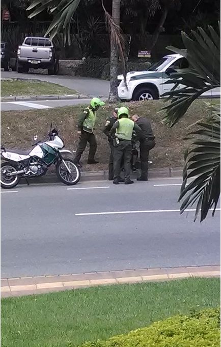 IMG_20140210_150718223 (Copiar)