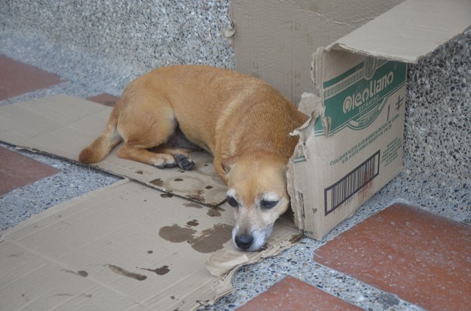 Foto: Guilermo Naranjo