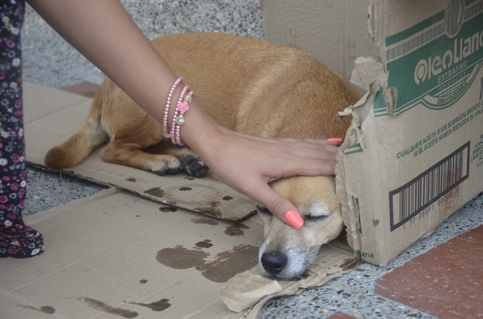 Foto: Guilermo Naranjo