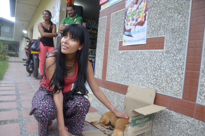 Foto: Guilermo Naranjo