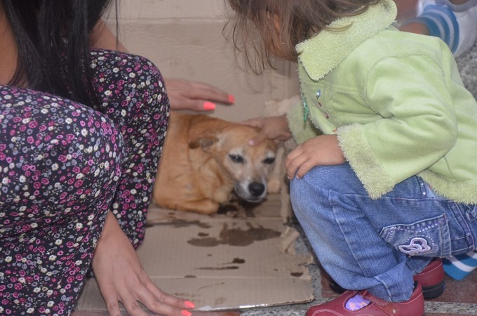 Foto: Guilermo Naranjo