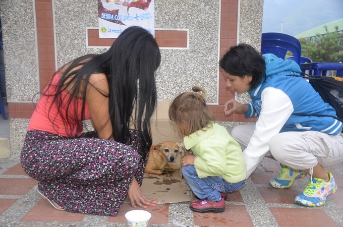 Foto: Guilermo Naranjo