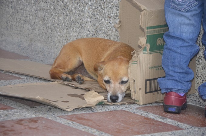 Foto: Guilermo Naranjo