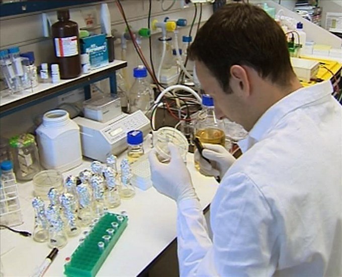 botas de vacas resisten antibioticos