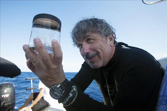 El océano cubre un 70 % del globo, entre 14 y 20 millones de compuestos permanecen desconocidos