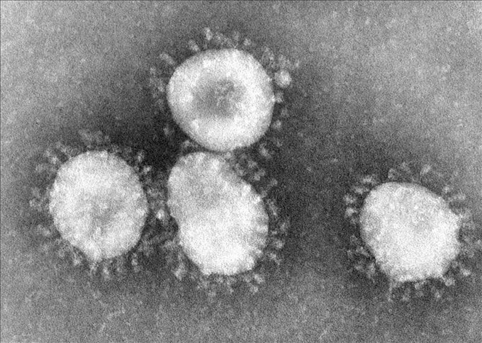 Fotografía del coronavirus bajo un microscopio.