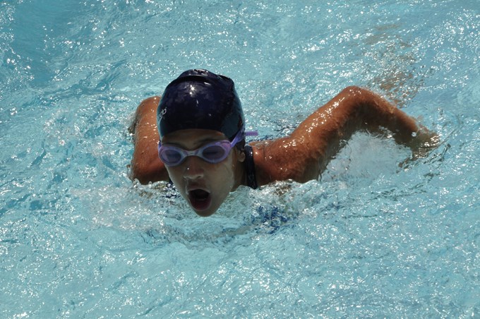 En Envigado, nacional de natación interclubes de piscina corta. 1 Foto Liga Antioqueña de Natación