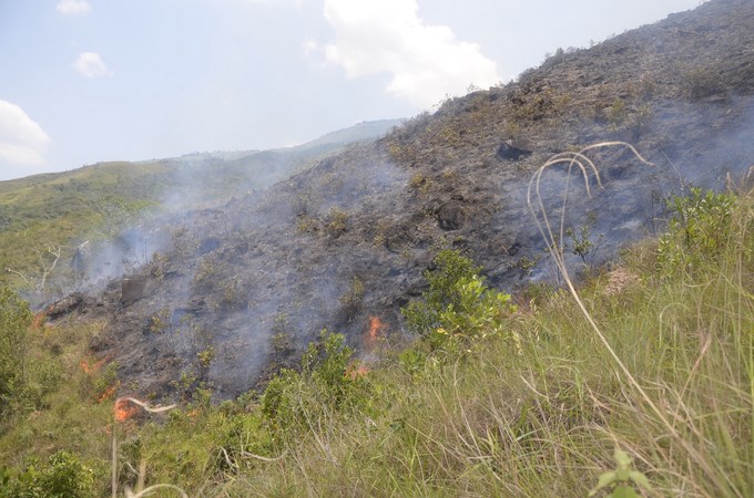 Foto: Guillermo Naranjo