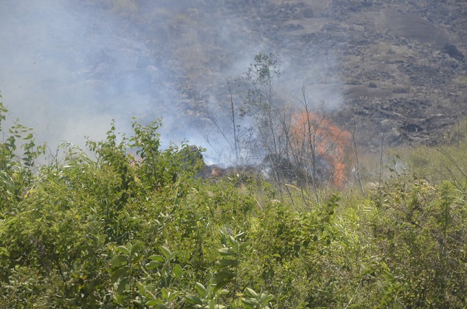 Foto: Guillermo Naranjo