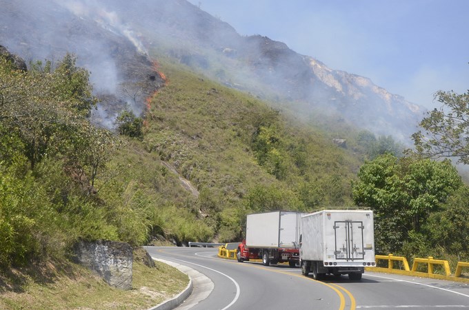 Foto: Guillermo Naranjo