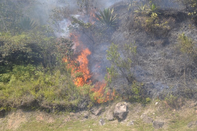 Foto: Guillermo Naranjo