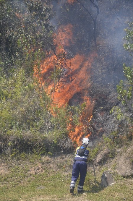Foto: Guillermo Naranjo