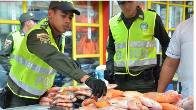 Incautados un total de 400 kilos de pescado de diferentes especies