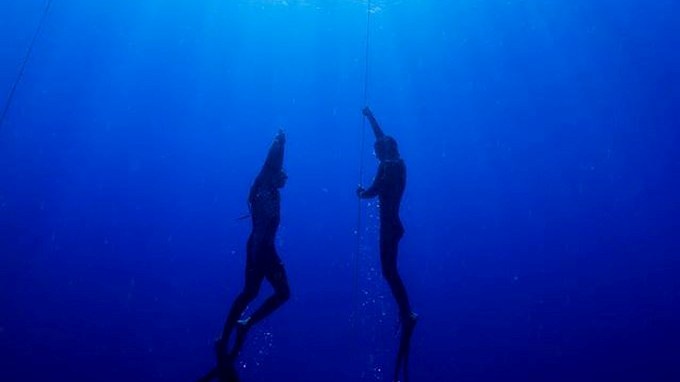 El fascinante mundo del buceo en apnea 3 apnea app